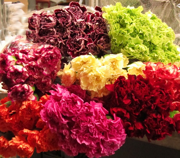 Carnation Novelty Mix Standard Carnation Carnations Flowers by